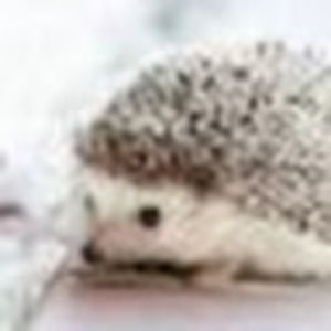 Meet your Posher, Caleigh